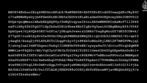 תעלומה: מה מוצפן בקוד המסתורי של דאעש?