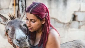 "להתחיל מחדש": מקלט שיקומי ראשון לחיות משק בישראל