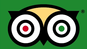 טריפ רע: האמת הלא מחמיאה מאחורי אתר התיירות הגדול בעולם נחשפת