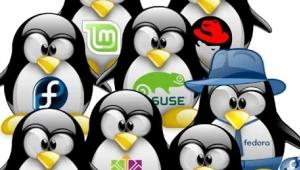 הפתעה: מיקרוסופט חשפה מערכת הפעלה מבוססת לינוקס