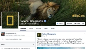 דיווח: פייסבוק תשיק בסוף החודש כלי להצגת כתבות מלאות בניוזפיד