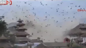 אלפי ציפורים ומפולת שלגים: סירטונים חדשים מהאסון בנפאל. צפו