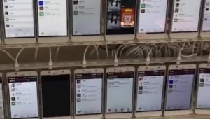 הצצה לחוות לייקים בסין: מה באמת קורה כשאתם קונים צפיות ביוטיוב?