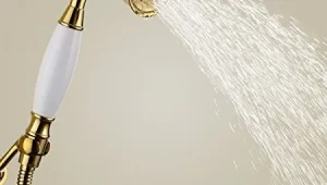 אפקט טראמפ: אתרי הפורנו מדווחים על ביקוש ער לסרטוני "גולדן שאוור"