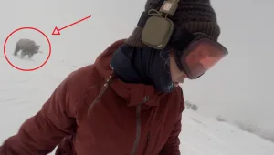 משיא גינס שנשבר ועד הפספוס המביך בחתונה: קבלו 9 סרטונים ויראלים שעשו לנו את השבוע