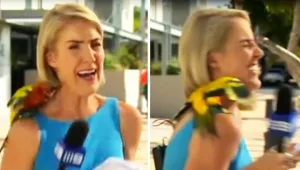 צפו: כשהכתבת הזו עלתה לשידור ציפתה לה הפתעה