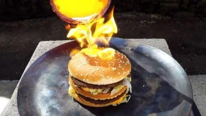 רגע לפני שתאכלו את ההמבורגר הבא שלכם, כדאי שתצפו בסרטון הזה