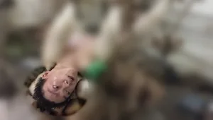 האמת המרגשת מאחורי הסרטון הויראלי שמסעיר את הרשת