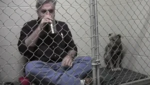 מה שהוטרינר הזה עשה עבור הכלבה האבודה ירגש גם אתכם