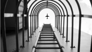 הפאדיחה הגדולה של ניקון