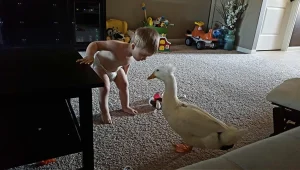 לילד הזה יש חיית מחמד מפתיעה שמרגשת את כל הרשת