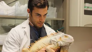 הכירו את הוטרינר החתיך שכובש את הרשת