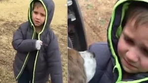 הכי מרגש שיש: הרגע ובו ילד קטן מתאחד עם הכלב האהוב שאבד לו