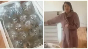 האישה הזו הזמינה שולחן מאיביי ולא תאמינו מה היא קיבלה