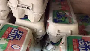 מטריד: ולדים חיים של עכברים על מדף הביצים בשופרסל דיל במודיעין