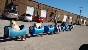 מרגש: האיש הזה בנה רכבת מיוחדת כדי לשמח כלבים שננטשו. צפו