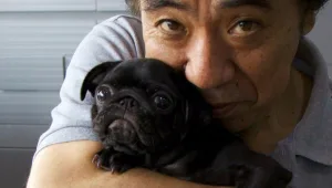 מרמים את המוות: חברה קוריאנית מציעה לשבט עבורכם את כלבכם המת