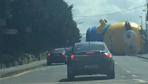 אימה באירלנד: האם מיניונים השתלטו על דבלין?    (טוב נו לא באמת)