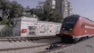 רץ ברשת: סרטוני הרשת המפוברקים שמפילים את כולנו