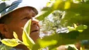 לילה כלכלי 08.05.16