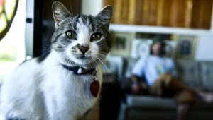 לילה כלכלי 31.03.16