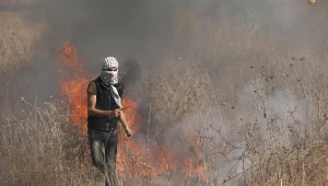 לילה כלכלי 21.10.15