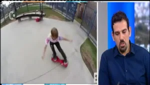 צעצוע קטלני: האם ההברבורד מסוכן?