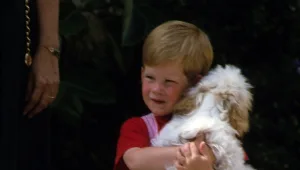 בחנו את עצמכם: מי הם הכוכבים בילדותם?