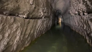 מה עושים היום עם הילדים? מי קדם בפארק אלונה