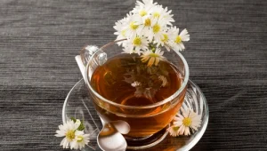 לבחור נכון: הצמחים שיהפכו את ילדכם לרגוע