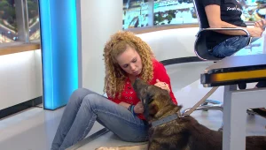 אורלי וגיא 02.05.18