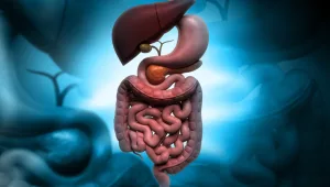 איך מתבצעים ניתוחי כבד ולבלב בגישה הלפרוסקופית?