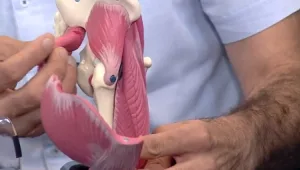 כשהסחוס נשחק: כך מתבצעת החלפת ירך בגישה קדמית