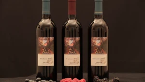 חיים בריא: האם יין באמת בריא לנו?