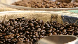 חיים בריא: היתרונות הבריאותיים של הקפה