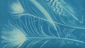 ניו יורק 1.3: הגברת הראשונה של עולם הצילום מציגה בכחול