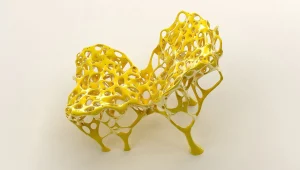 המעצב הדיגיטלי שמייצר עצמות ומדבר עם מכונות