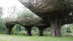 האיגוד הישראלי של אדריכלי הנוף יקיים מחר כנס בסימן 70 לישראל