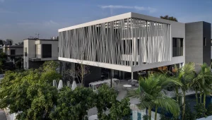 פותח חזית Ι טור אישי – דן ישראלביץ