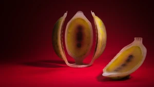 עונת העיצוב תפתח בכנס Next: טרנדים בעיצוב ומיתוג לקראת 2020