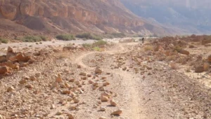 רשות מקרקעי ישראל תשקיע 45 מיליון שקל בשביל ישראל לאופניים