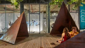 שריתה פלד פועלת למען הקמת אנדרטה ל 76 נופלי מבצע צוק איתן