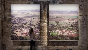 הוכרזו הזוכים בפרס אריה הזהב בביאנלה בוונציה