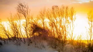 נוכחות חובה - תערוכות אירועים ומה שביניהם 10.5-16.5.18