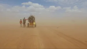 אולי דווקא כן: פליטים, פוליטיקה ואיי וייוויי אחד