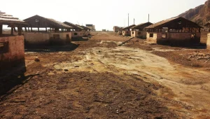 נוכחות חובה - תערוכות אירועים ומה שביניהם 8-15/3