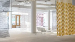 מתל אביב יצאה הבשורה: האחים בורולק פורצים את גבולות המוזיאון