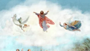 לא יאומן כי יסופר: העסקים המוזרים בעולם