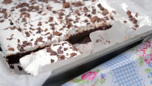 מתכון לבראוניס שוקולד עם קרם גבינה