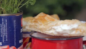 מתכון למקלות בצק עלים וגבינת עיזים